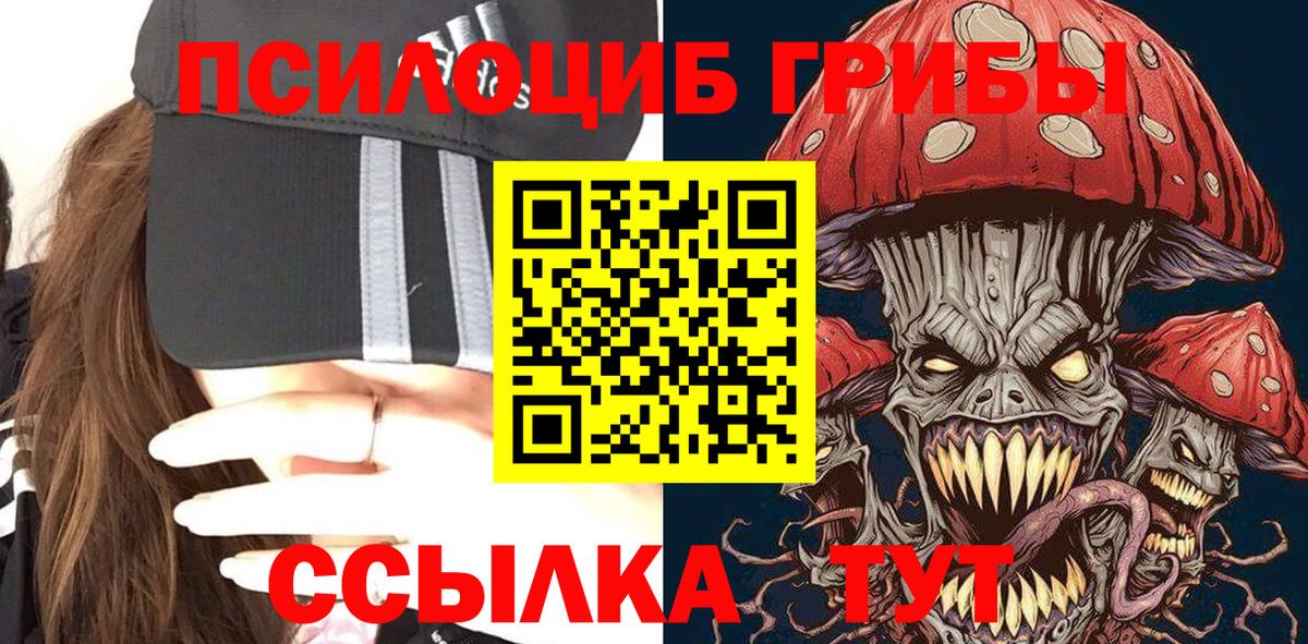 Псилоцибиновые грибы Magic Shrooms Элиста