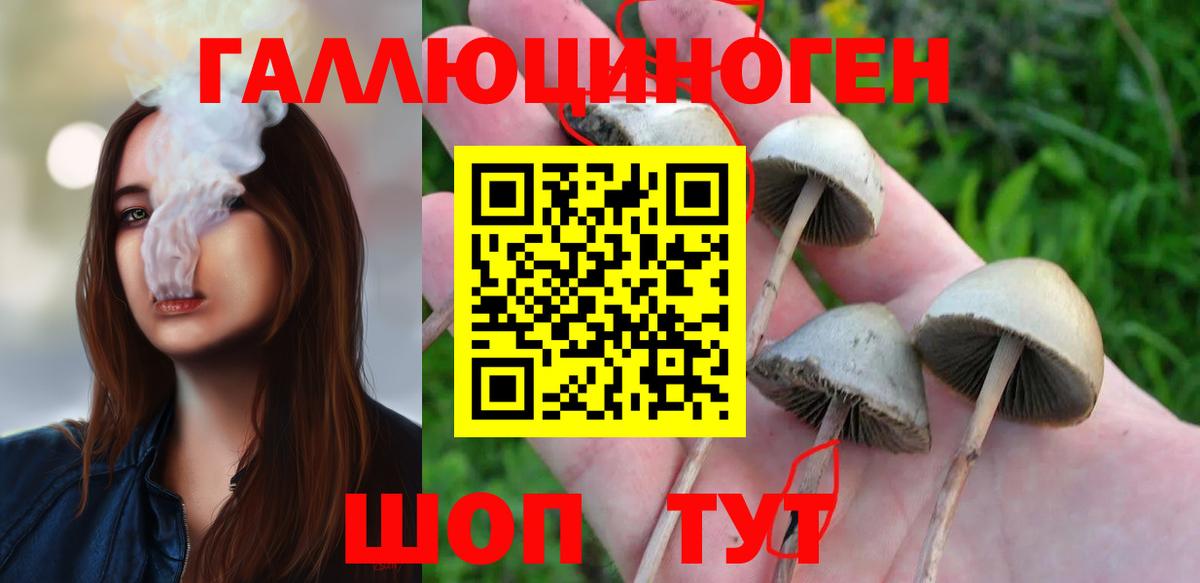 Элиста  Галлюциногенные грибы мицелий  Вход с VPN 